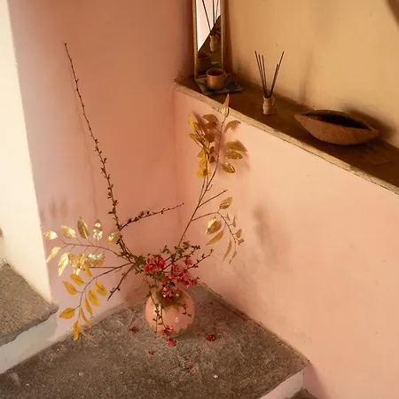 Casa Di Lui E Luise - Yoga & Ayurveda Falmenta