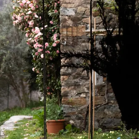 Casa Di Lui E Luise - Yoga & Ayurveda