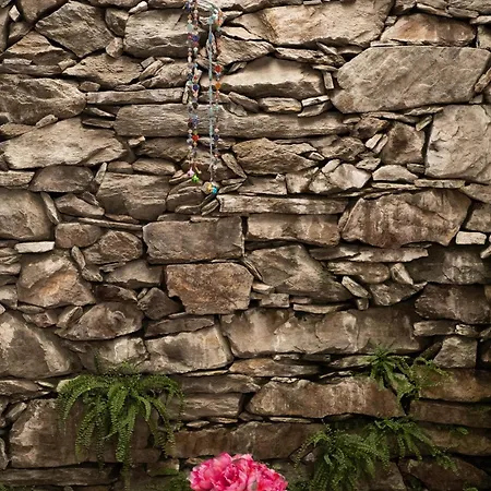 Casa Di Lui E Luise - Yoga & Ayurveda Falmenta